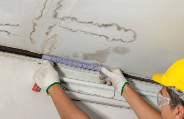 Affordable Water Damage Repair solutions in Hico, WV